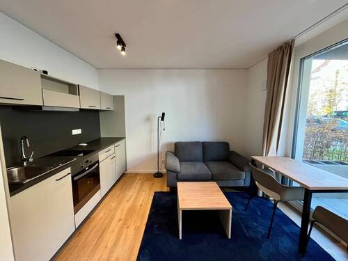 Wohnbereich - 1 Zimmer Terrassenwohnung zur Miete in Fürth