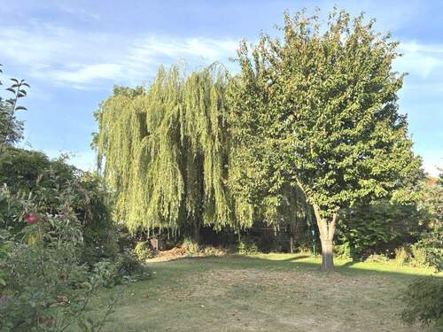 IMG_2957 - 7 Zimmer Doppelhaushälfte in Bremen / Aumund