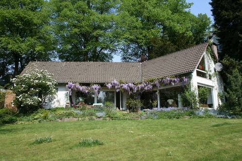 Rückseite im Sommer - 4 Zimmer Einfamilienhaus in Wuppertal