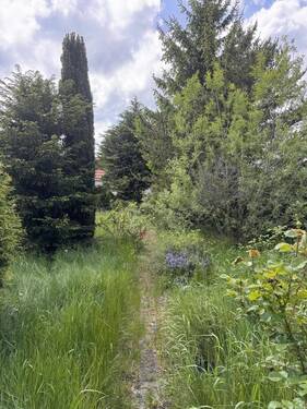 Garten - 