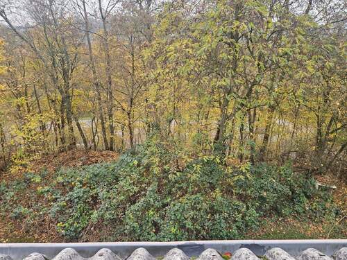 Ausblick in die Natur - 