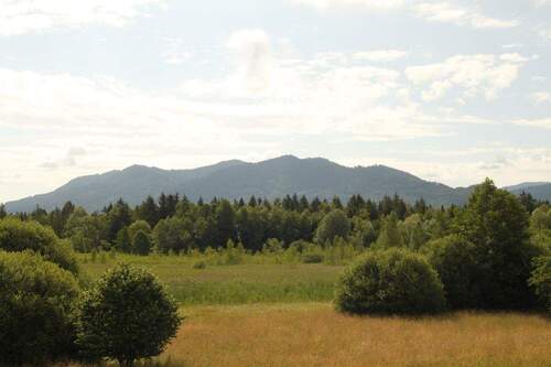 Ausblick - Saniertes Reihenmittelhaus mit eigenem Garten in ruhiger, dennoch zentraler Wohnlage!