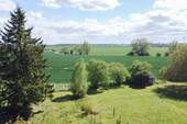 Feldrandlage - 