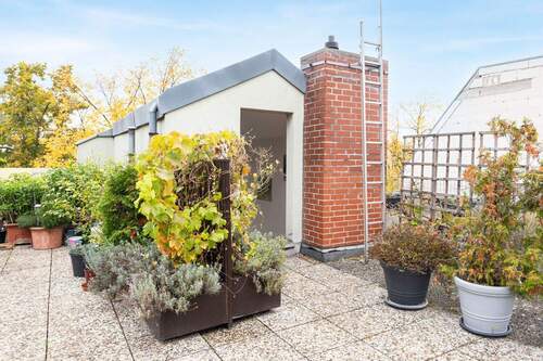 Terrassenaufgang - 