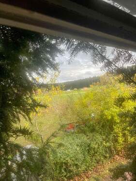 Fensterblick - 