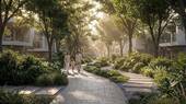 Forest walkway 1 - 