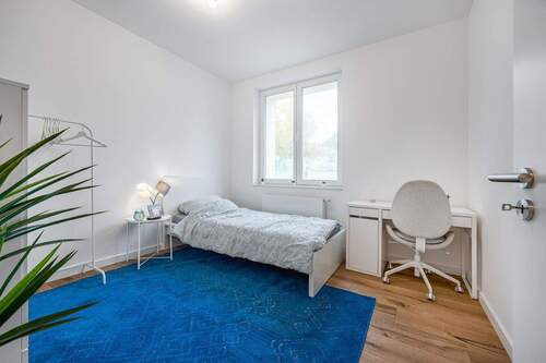 Zimmer - 