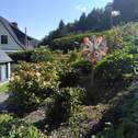 Garten - 