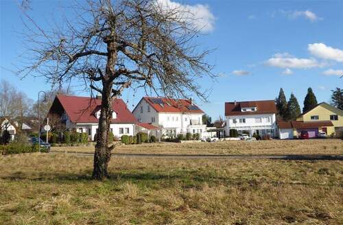 Rommelsbach-Baum-Blick-auf-Strasse - Baugrundstück in ruhiger Wohnlage von Reutlingen-Rommelsbach