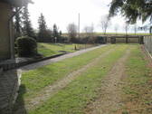 Blick zur Einfahrt - 