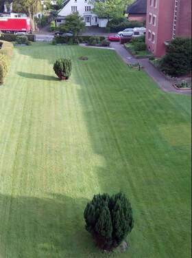 Blick in den Garten - 