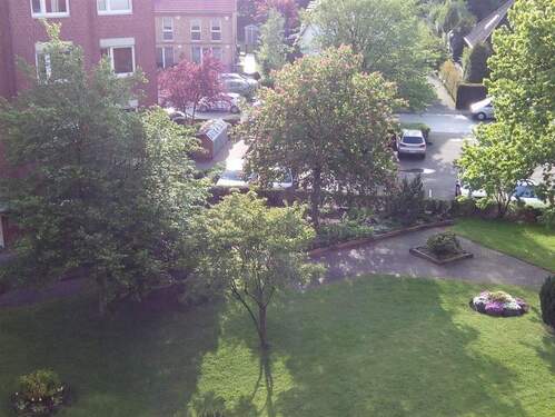 Blick in den Garten - 