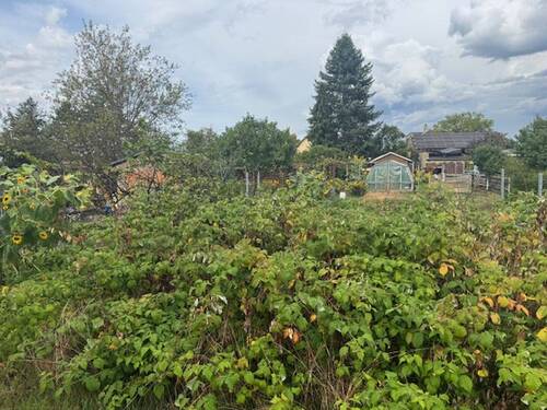 Grundstück - Kleines Baugrundstück in begehrter Wohnlage oberhalb von Radebeul-West