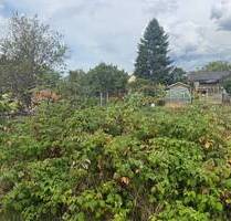 Kleines Baugrundstück in begehrter Wohnlage oberhalb von Radebeul-West