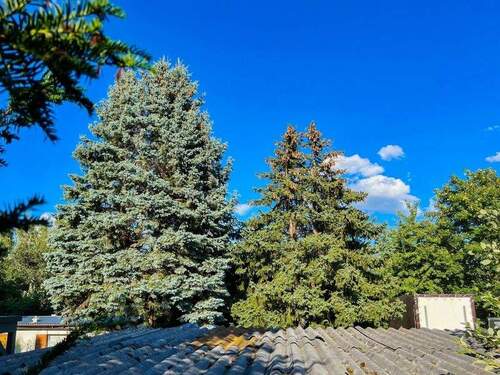 - und Blick ins Grüne - 9 Zimmer Mehrfamilienhaus, Wohnhaus in Dresden