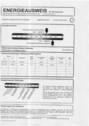 Energieausweis - 