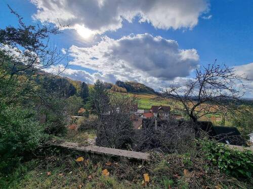 Blick in die Umgebung - 