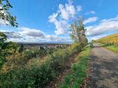 Blick nach Westen - 