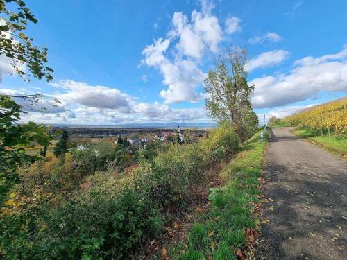 Blick nach Westen - 