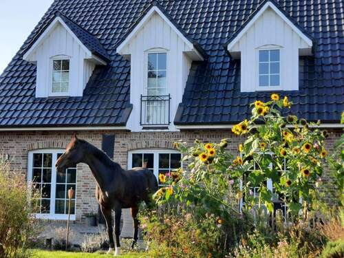 Rückansicht mit Garten - Einfamilienhaus im Friesenstil mit Doppelgarage und Garten