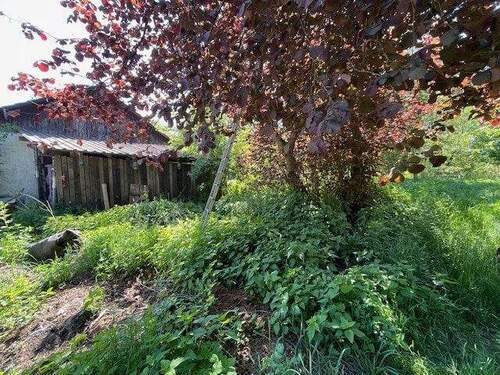 Giebelansicht Stallgebäude - Einfamilienhaus mit 138,00 m² in Mudau zum Kaufen