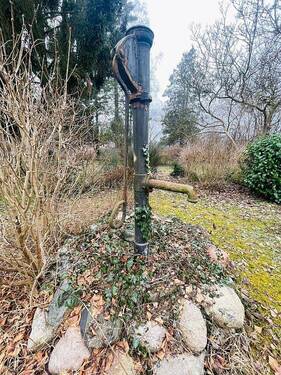 Gartenimpressionen - 