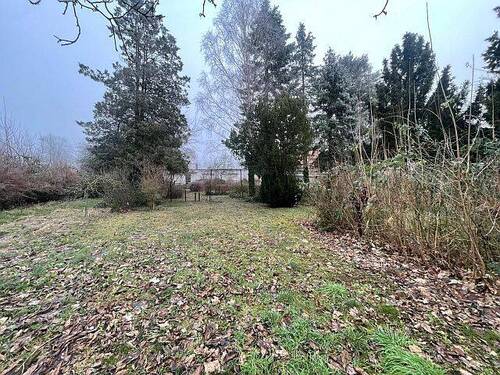 Gartenimpressionen - 