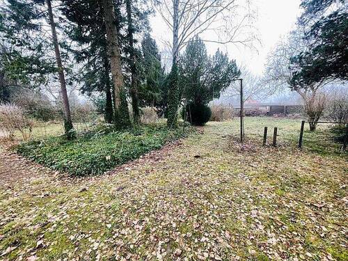 Gartenimpressionen - 