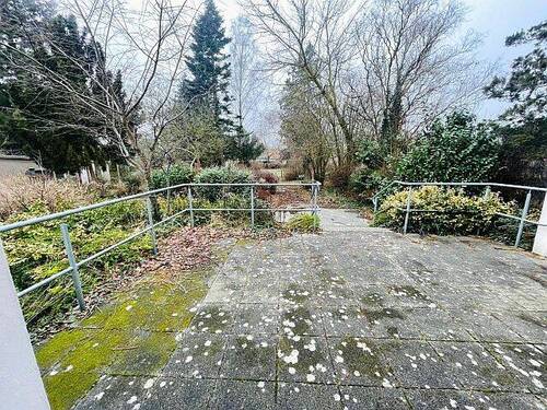 Gartenimpressionen - 