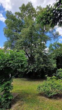 Teilansicht - Doppelhaushälfte mit 138,50 m&sup2; in Fürth zum Kaufen