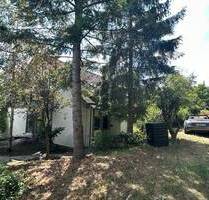 Foresthouse! Something very special! Available end June - Weil der Stadt