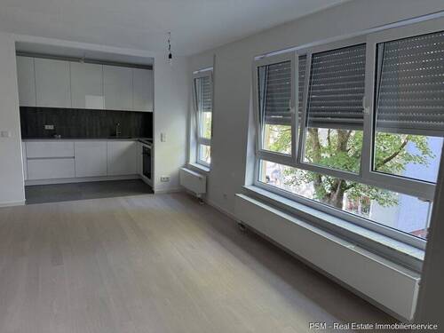 Wohnzimmer/Küche - Wohnung - 1.390,00&nbsp;EUR Kaltmiete, ca.&nbsp; 65,00&nbsp;m&sup2;&nbsp;Wohnfl&auml;che