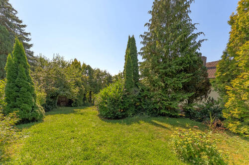Garten hinter dem Haus - 