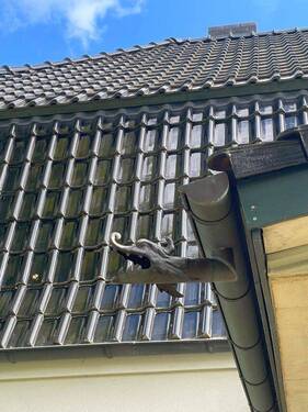 hochwertige Dacheindeckung - 