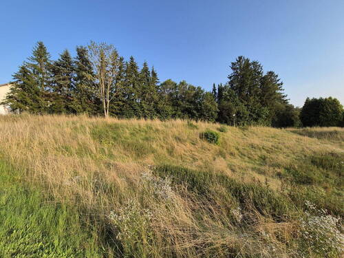 Osten - Grundstück in Egmating zum Kaufen