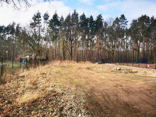 Blick ins Grundstück - Romantischer Bauplatz bei Moritzburg