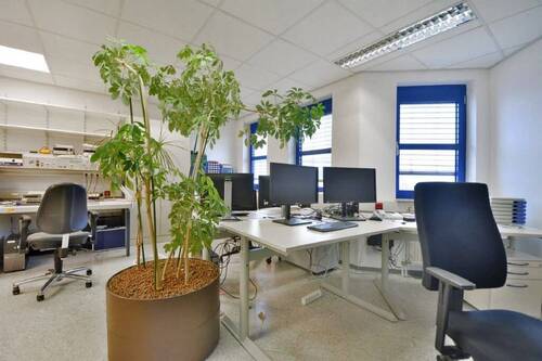 Bild13 - 