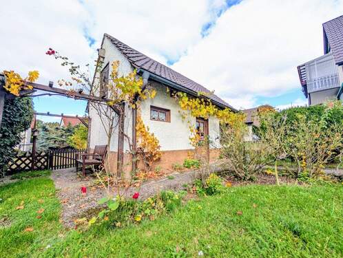 Schuppen - 