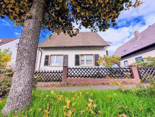 Blick Baum - 4 Zimmer Einfamilienhaus zum Kaufen in Enkenbach-Alsenborn