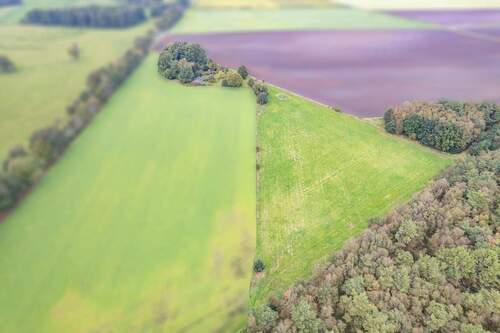 Weitläufiges Grundstück - 