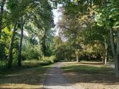 Park in unmittelbarer Nähe - 