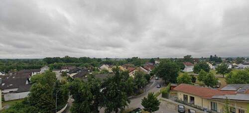 IMG20250704114316.jpg - 