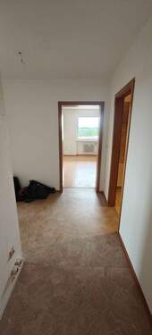 IMG20250704114216.jpg - 