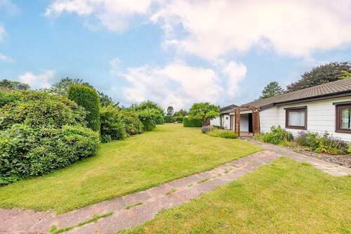 Eingewachsener Garten - 