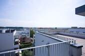 IMG_3205.jpg - 