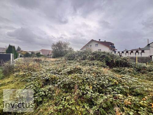 Bild vom Grundstück, inkl. Bewuchs - Grundstück zum Kaufen in Eschelbronn