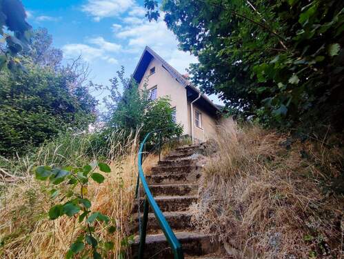 Blick vom Hang zum Haus - 4 Zimmer Einfamilienhaus zum Kaufen in Thallwitz