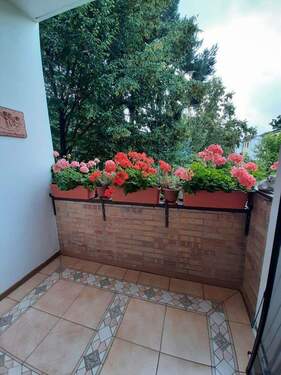 Balkon - 