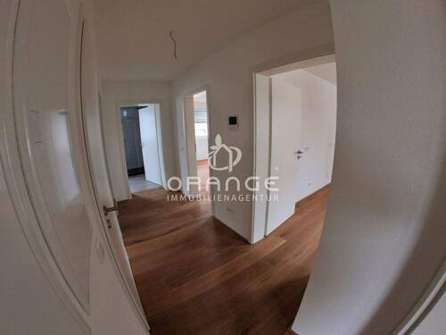 IMG_20250716_115443_680 - 