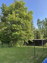 Bild 5 - 